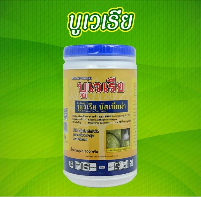 thaigreenagro-บูเวเรีย-บิวเวอร์เรีย-บาสเซียน่า-จุลินทรีย์ชีวภาพกำจัดเพลี้ยอ่อน-เพลี้ยแป้ง-ยาฆ่าแมลง