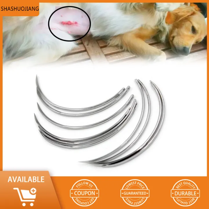 Kitten and puppy Pet suture needle Stainless steel needle for cats and