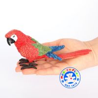 Munich Play - โมเดล Parrot นกแก้ว แดง ขนาด 17.00 CM (จากหาดใหญ่)