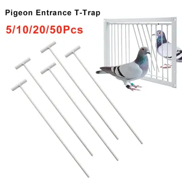 Pigeon Cage Door One Way Entrance Door Bird T Trap Birdcage Iron Wire Trap  Door for Racing Pigeon