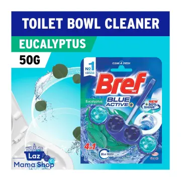 Bref Blue Activ' blocs WC eucalyptus 2 pièces