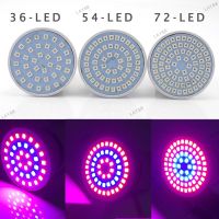 110V 36/54/72 LED Plant Grow Light Lamps Indoor Cultivo Flower Red Blue Growing Light For Hydro Growbox Fitolampy YB8TH