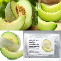 เมล็ดพันธุ์  เมล่อน ร็อคกี้ฟอร์ด เนื้อเขียว Rocky Ford Green Flesh Melon Seed 40 เมล็ด ของแท้ เมล็ดพันธุ์พืช ผักสวนครัว เมล็ดพันธุ์ผัก