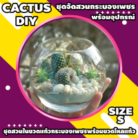 สวนกระบองเพชร ชุดจัดสวนกระบองเพชร DIY CACTUS ราคา 299฿