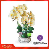 Handitop แจกันดอกไม้ประดิษฐ์ HAAR230002 YLGR Phalaenopsis1 ดอกกล้วยไม้ฟาแลนนอปซิสในแจกันเซรามิคลายสีน้ำตาล