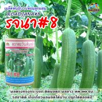 เมล็ดพันธุ์บวบหอมลูกผสม รจนา#8 ตราตะวันต้นกล้า ขนาด50กรัม ROADJANA เมล็ดพันธุ์บวบหอม เมล็ดบวบหอม เมล็ดพันธุ์ผัก เมล็ดผักสวนครัว