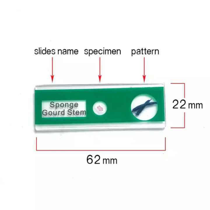 กล้องจุลทรรศน์สไลด์พลาสติก-48-ชิ้น-ตัวอย่างทางชีวภาพ-กล่อง-4-กล่องของเด็กและนักเรียนตรัสรู้การศึกษา
