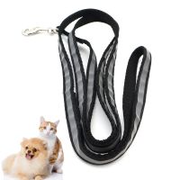 【CW】 Reflective Dog Leash Adjustable Leashes Collar Outdoor Walking Chihuahua Terier Schnauzer Rope