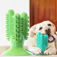 Bite Resistant Dog Toothbrush Pet Molar Tooth Cleaning Brushing Stick Dog Toy Dog Chew Toys Doggy Puppy Dental Care Pet Supplies Toys