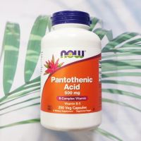 B5 กรดแพนโทเทนิก Pantothenic Acid 500 mg 250 Capsules (Now Foods®) วิตามินบี 5 B-5