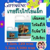 กิฟฟารีน Giffarine ปุ๋ย เทอร์โบไทโอแม็ก สารอาหาร ที่ พืชต้องการ เสริมสร้างโปรตีน ปุ๋ยไนโตรเจน ให้ธาตุแมกนีเซียม กิฟฟารีน ของแท้ แน่นอน