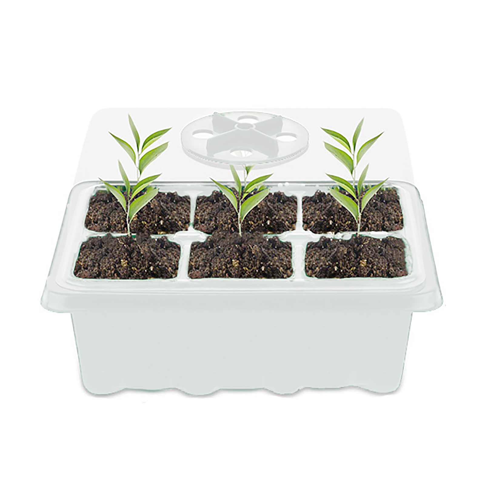10-Pack Seed Trays Humidity Adjustable Seedling Starter Tray 12 Cells per Tray 