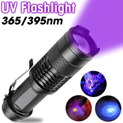 With Light Urine 395/365nm Ultraviolet Ultra Violet Stains Detection Torch Pet Uv Flashlights Flashlight Zoomable For Mini Rechargeable Flashlights