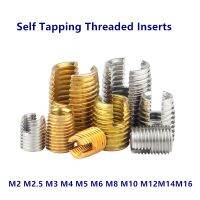 M2 M3 M4 M5 M6 M8 M10 M12 Galvanized Stainless steel Threaded Inserts 302 Type Repair Insert Self Tapping Slotted Screw Threaded Nails Screws Fastener