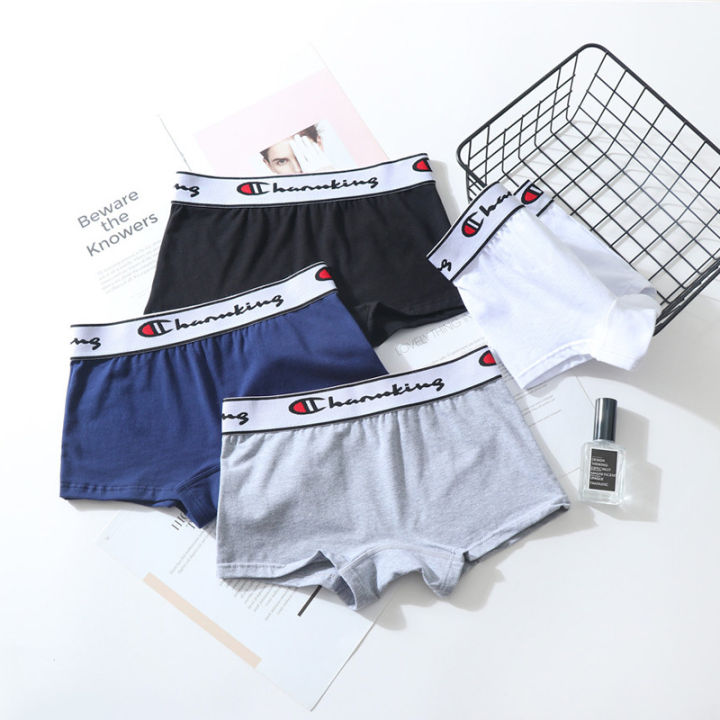 4 PCS Neutral Women Les Plus Size Underwear Cotton Triangle Boxers ...