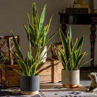 บ้านสวน DIY สำนักงาน VJ5YE ในร่มกลางแจ้งของประดิษฐ์ตกแต่งบ้าน Sansevieria พืชปลอมใบ Faux