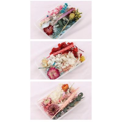 Immortal Flower Dried Flower Festival Handicrafts DIY Scattered Flower Materials