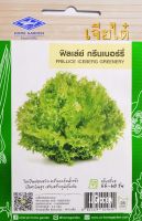 ฟิลเล่ย์ กรีนเนอร์รี่ ผักกาดหอม FRILLICE ICEBERG GREENERY เมล็ดพันธุ์ตราเครื่องบิน เจียไต๋