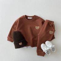 Baby Clothes Set Newborn Cartoon Embroidered Bear Sweater Pullover+Long Pants Suits