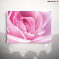 U-RO DECOR รุ่น PINKY ROSE ภาพพิมพ์ ขนาด 50 x 70 ซม.