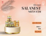 Salanest - Set 12 Hủ - Nước yến chưng nhân sâm và 20% yến tươi