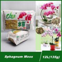 12L Sphagnum Moss Moisturizing Nutrition Organic Fertilizer Protect Roots DIY Flower Pot Home Garden Supplies