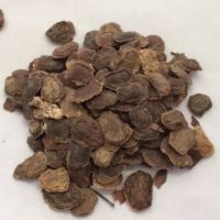 30 เมล็ด เมล็ดพันธุ์ Seeds  พะยูงไหหลำ แบบแกะเมล็ด พร้อมปลูก (หวงฮัวหลี) (Hainan Huanghuali)