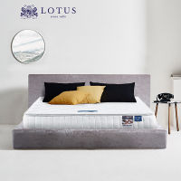 LOTUS ที่นอน (สเปคนุ่มแน่น) รุ่น Premium ฟรี หมอนหนุนสุขภาพกันไรฝุ่น ส่งฟรี