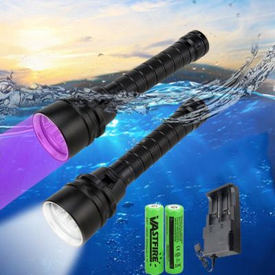 Professional 10W UV Light Underwater 100m Rechargeable 5*LED XPE Scuba Diving Flashlight 365-395nm Torch Water Sports Lanterna Rechargeable Flashlight