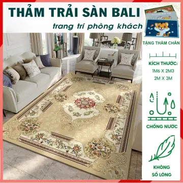 Thảm Trải Sàn 2Mx3M Giá Tốt T09/2023 | Mua Tại Lazada.Vn