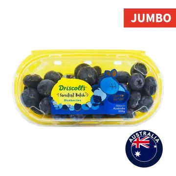 Delicious and Nutritious Jumbo Blueberries in Singapore