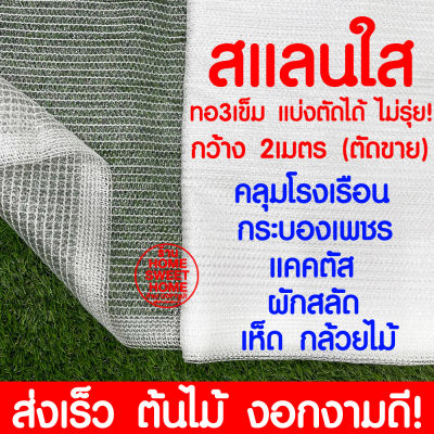 สแลนใส สแลนสีใส กว้าง 2ม. (แบ่งตัดเป็นเมตร) สแลนขาว คลุมโรงเรือน โรงเรือน  แคคตัส เห็ด กระบองเพชร ผักสลัด ตาข่ายกรองแสง