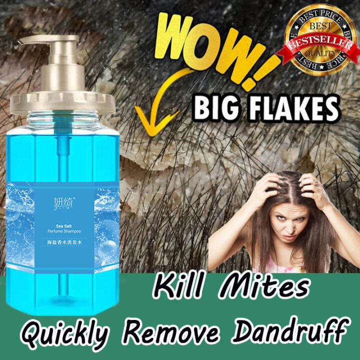 【Quick removal of mites and itching】500ML Sea Salt Anti Dandruff