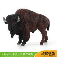 ❤การขายส่งโรงงานอุตสาหกรรม❤จำลองวัวสัตว์ป่ารุ่น American bison buffalo cow สร้างสรรค์เครื่องประดับวัวเลี้ยงลูกด้วยนมที่เป็นของแข็ง