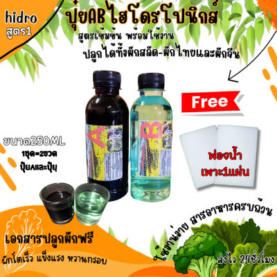 ปุ๋ยAB+โฟมน้ำ ขนาด250มิลลิลิตร A+B เพียงแค่ 39 บาท ปลูกผักสลัด ไฮโดรโปนิกส์ AB คุณภาพดี คุ้มราคา (เอสเคยู 001 ช้อป)