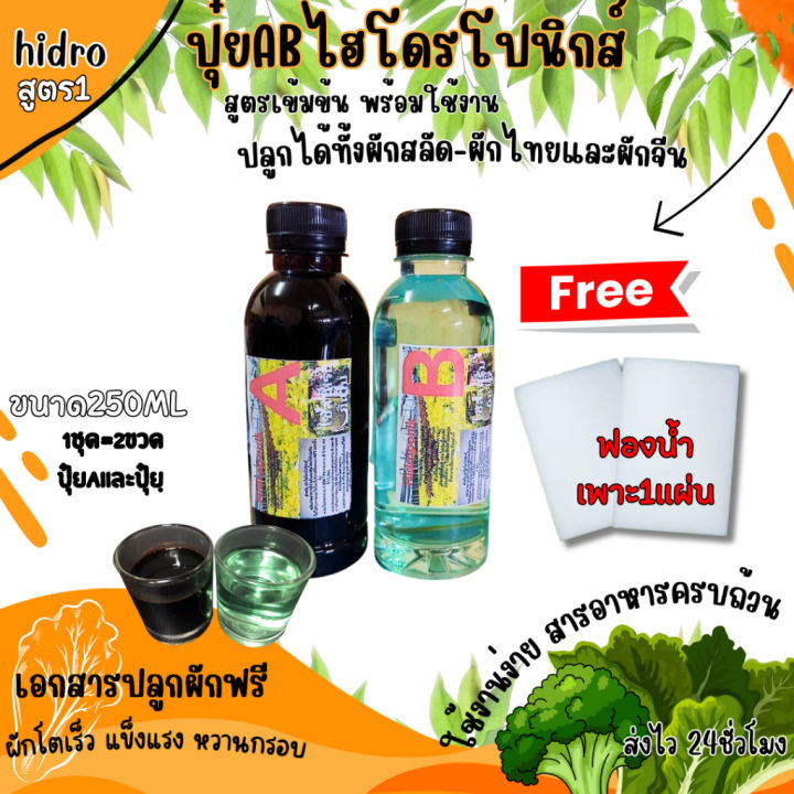 ปุ๋ยab-โฟมน้ำ-ขนาด250มิลลิลิตร-a-b-เพียงแค่-39-บาท-ปลูกผักสลัด-ไฮโดรโปนิกส์-ab-คุณภาพดี-คุ้มราคา-เอสเคยู-001-ช้อป