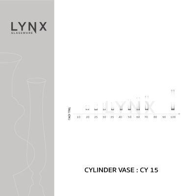 LYNX - CYLINDER VASE 15 - แจกันแก้ว แฮนด์เมด เนื้อใส ทรงกระบอก ปากและฐาน 15 ซม. มีให้เลือกหลายขนาด