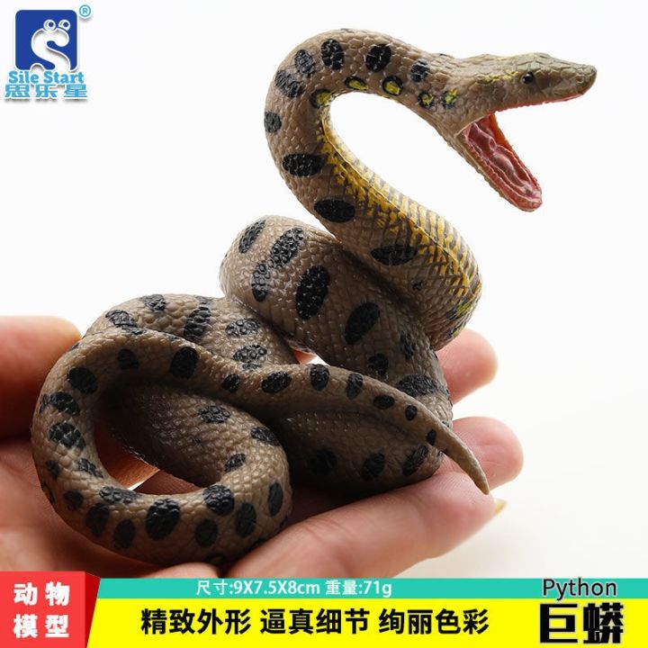 solid-simulation-model-of-animal-toys-reptiles-suit-children-cobra-gold-python-emperor-python-ball-pythons