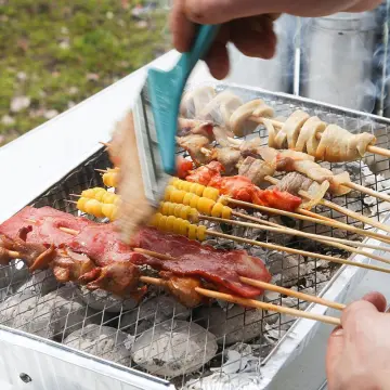 BBQ Grill Disposable Barbecue Grill Outdoor Picnic Barbecue