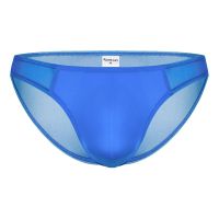 [COD] Mens Underpants Wholesale AliExpress Mesh Briefs Transparent Couple Male AU1305XS