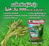 ถูก++ เมล็ดพันธุ์ผักบุ้งจีน ไผ่ตะวัน 999 ของดี ต้นไม้ เมล็ดพันธ์ เมล็ดพืช พรรณพืช เมล็ดพันธุ์ผักบุ้ง