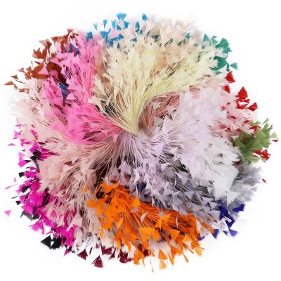 1 Bunch Turkey Feather for Headdress Feathers Wedding Colored Plumas Crafts Accessories 25-30cm