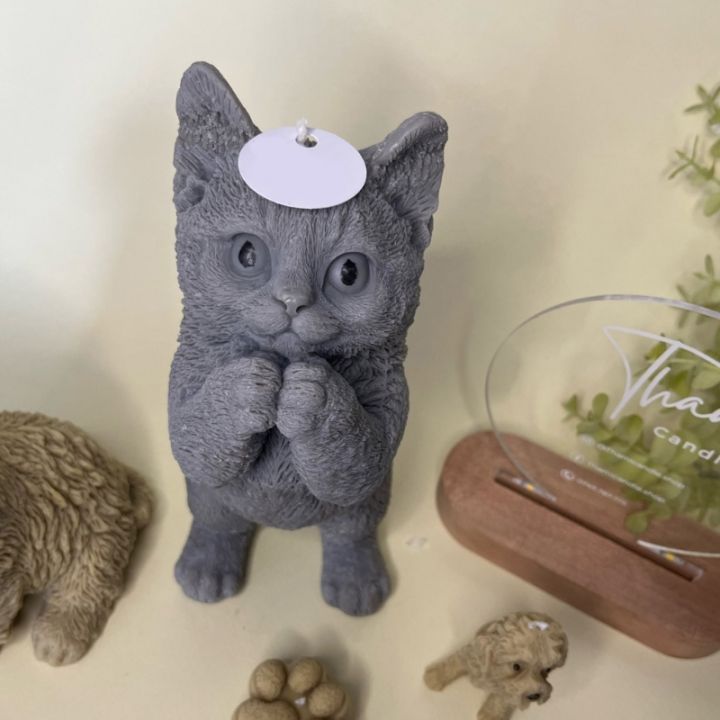 แม่พิมพ์เทียนรูปแมวรูปหล่อเรซินอีพ็อกซี่รูปสัตว์3มิติสำหรับงานฝีมืองานประดิษฐ์เทียนสบู่