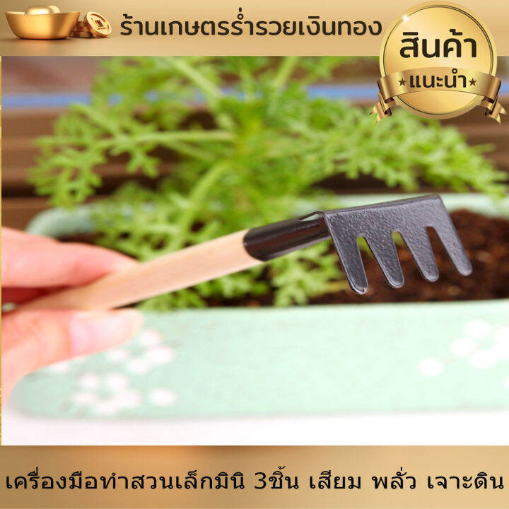 อุปกรณ์ทำสวน-ชุดตักดิน-พรวนดิน-เครื่องมือทำสวน-ขนาดเล็กมินิ-3ชิ้น-ทำสวนจิ๋ว-คลาด-เสียม-พลั่ว-เจาะดิน-ตักดิน-พรวนดิน-ขนาดพกพา-ทนทาน