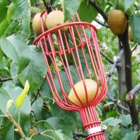 [ELEGANT] Garden tools Deep Basket Fruit Picker Head Convenient Fruit Picker Catcher Apple Peach Picking Farm Garden Picking Device