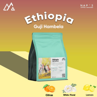 NAPSCOFFEE เมล็ดกาแฟคั่วอ่อน Ethiopia Guji Hambela  - Wash 200G