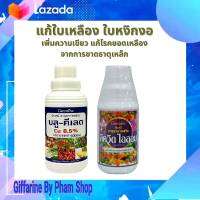 ส่งฟรี มีโปร ปุ๋ย กิฟฟารีน บลู-คีเลต + ลิคควิดไอออน แก้ใบเหลือง ใบหงิกงอ ใบไม่เขียว สร้างคลอโรฟิลล์ ให้ใบเขียวเข้ม