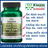 Viên uống Swanson Grape Seed, Green Tea & Pine Bark ổn định huyết áp sức