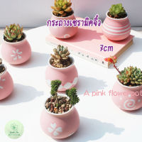 กระถางเซรามิกทรงถ้วยใบน้อย mini pots กระถางไม้อวบน้ำ แคตตัส กระบองเพชร กุหลาบหิน Pots