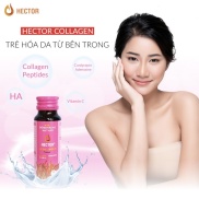 Chinh Hang Nước Hector Collagen Đông Trùng Hạ Thảo 1 hộp 10 chai